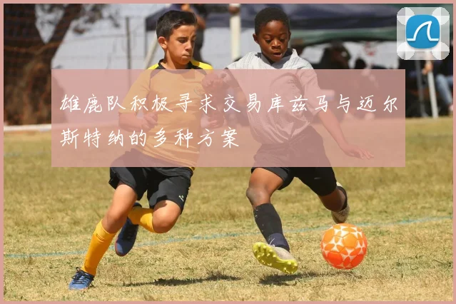 雄鹿队积极寻求交易库兹马与迈尔斯特纳的多种方案