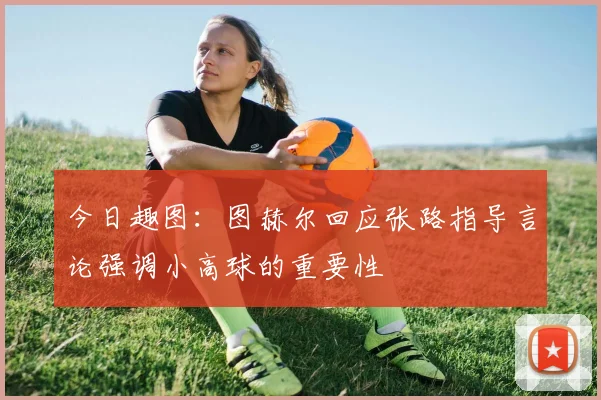 今日趣图：图赫尔回应张路指导言论强调小高球的重要性