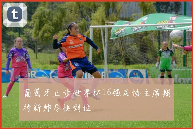 葡萄牙止步世界杯16强足协主席期待新帅尽快到位