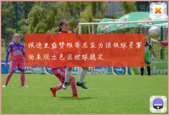 佩德里盛赞维蒂尼亚为顶级球员赛场表现出色且控球稳定